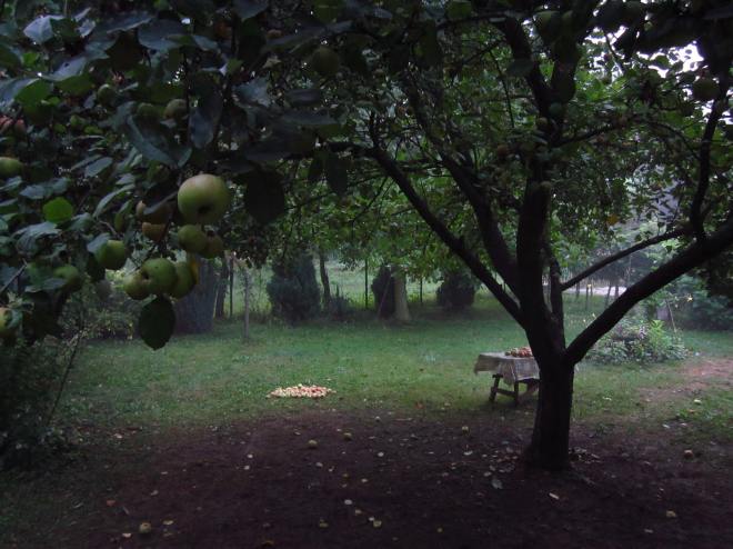 Our family plot at Banja Vrujci