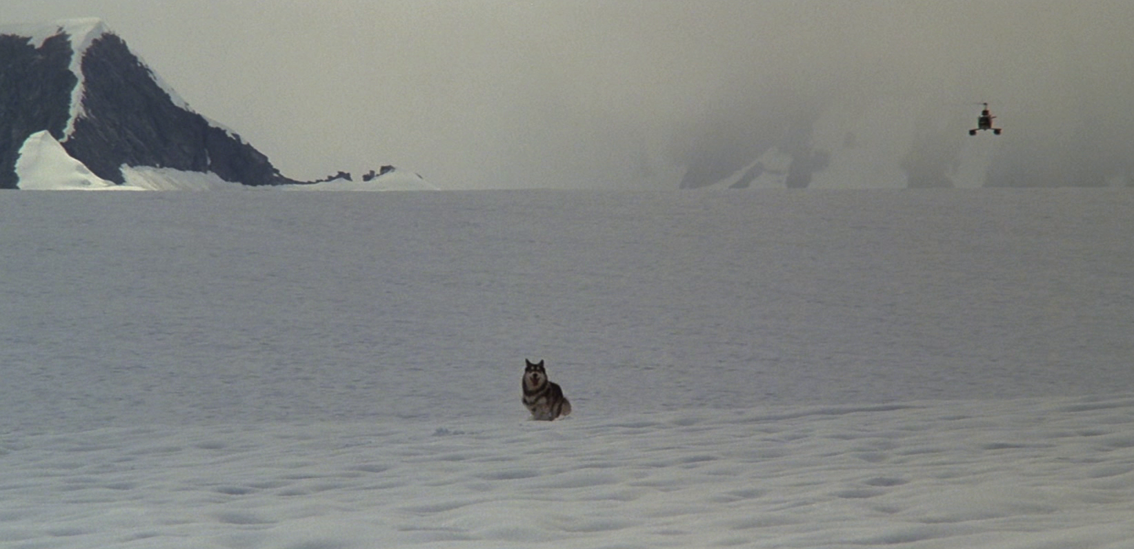 Frozen waste: The Thing (1982)