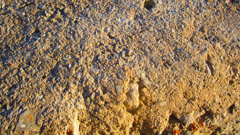 10255806_10154194279525019_6547924044003383833_n