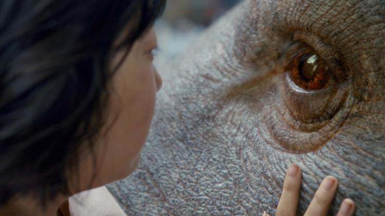 VIDA FILMS AUG 2017 Okja 2