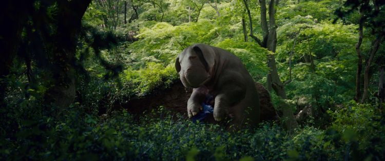 VIDA FILMS AUG 2017 Okja 3