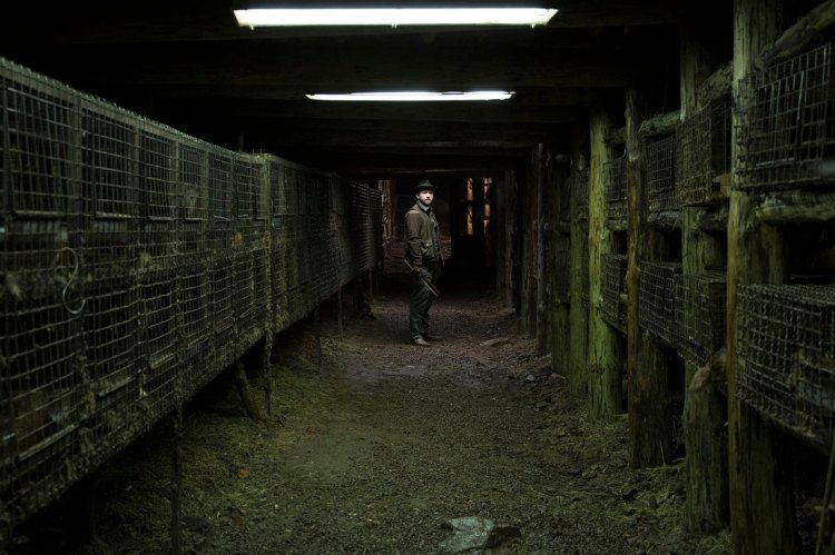 Cruel pens: Spoor (2017)